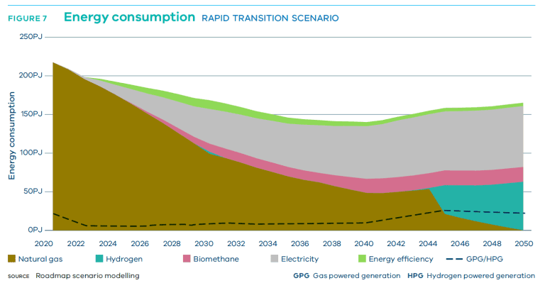 Victoria’s Gas Substitution Roadmap for Businesses