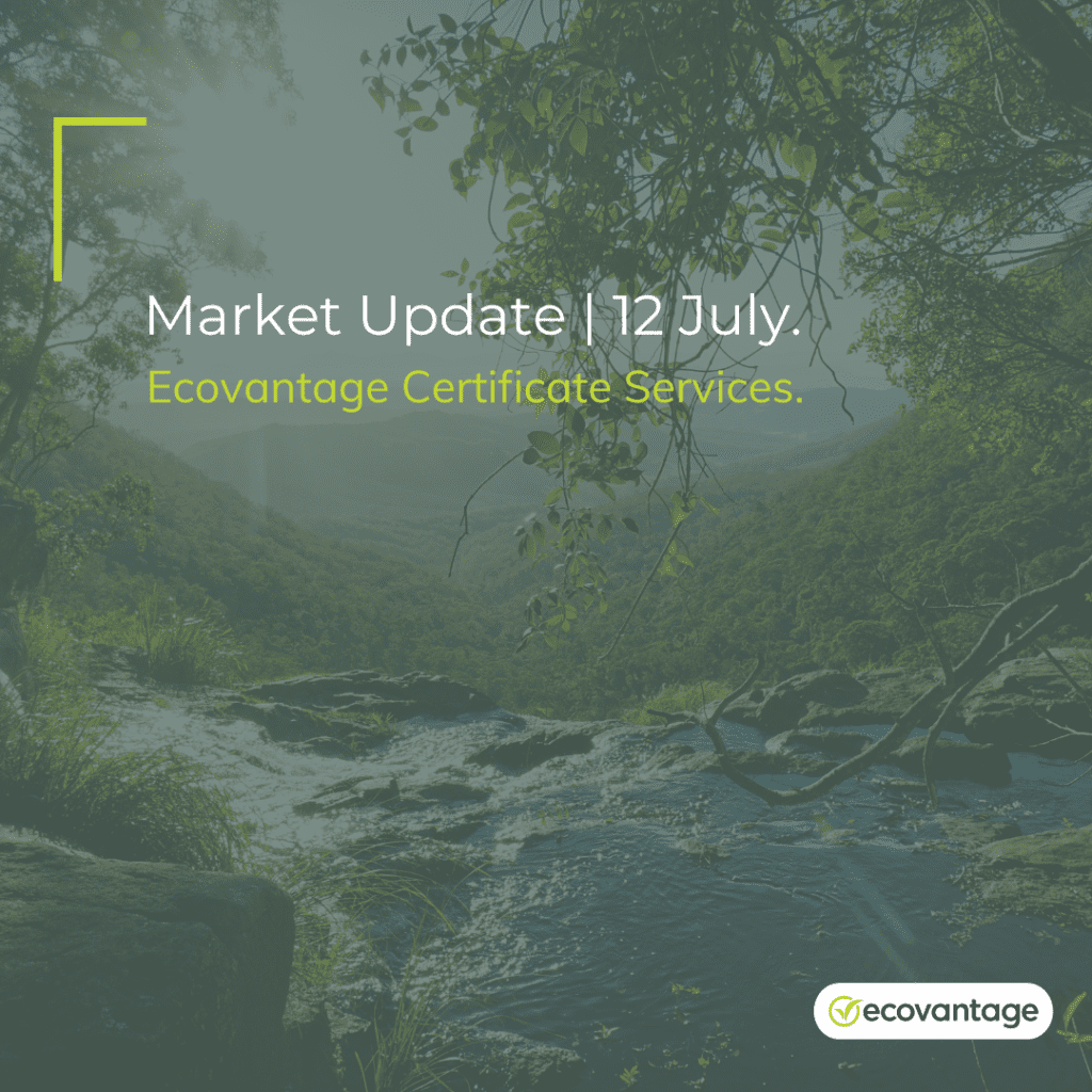 Market Update 12 July 2024