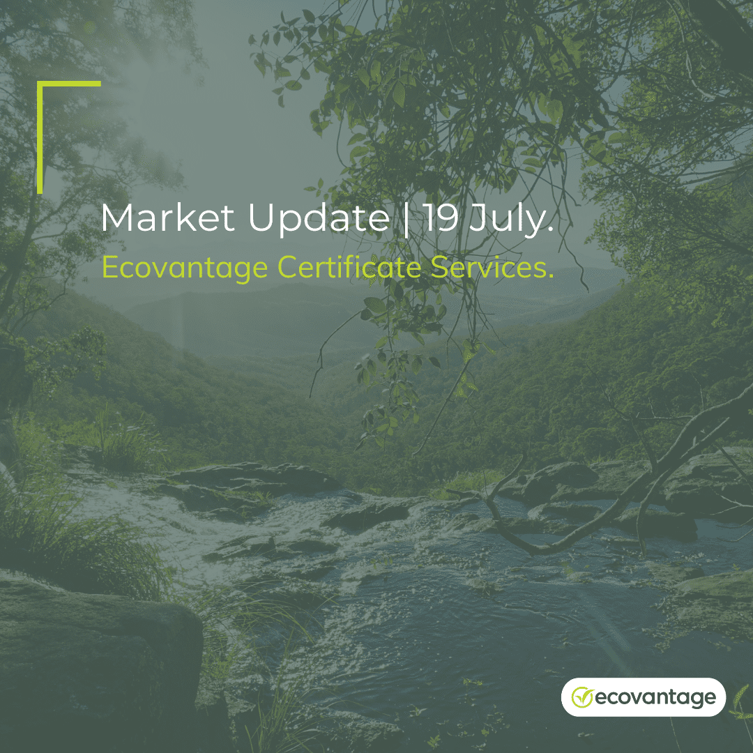 Market Update 19 July