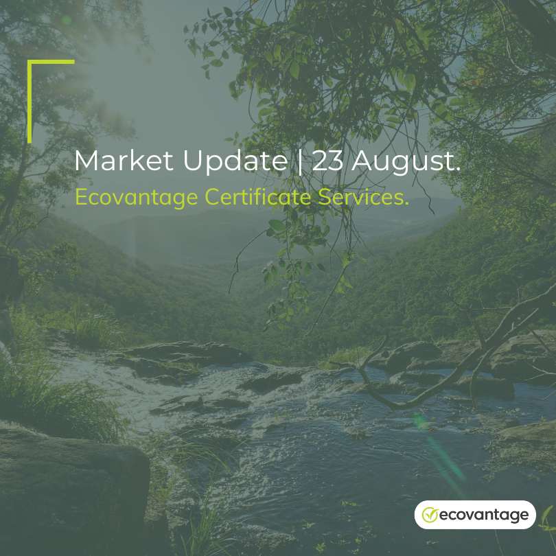 Market Update 23 August